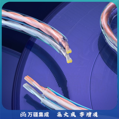 绿联60839（UGREEN）音频线 音响线 音箱线 喇叭线 发烧级音箱功放影院连接线 纯铜200芯HIFI线材 100米 60839