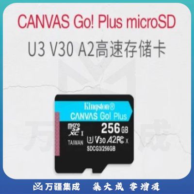 金士顿(Kingston)256GB TF(MicroSD)存储卡 行车记录仪内存卡 手机内存卡 U3 V30 A2 4K 读速170MB/s SDCG3/256GB