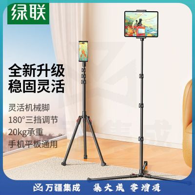 绿联（UGREEN）1.7米落地支架 便捷伸缩折叠三脚架 LP585/15645