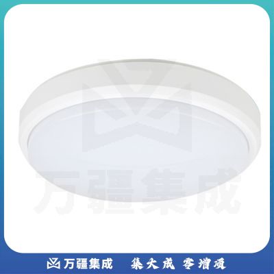 大吸顶灯含安装