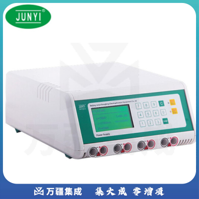 恩谊君意 双稳定时转移电泳仪电源垂直水平蛋白核酸多用电泳 程控款JY300HE