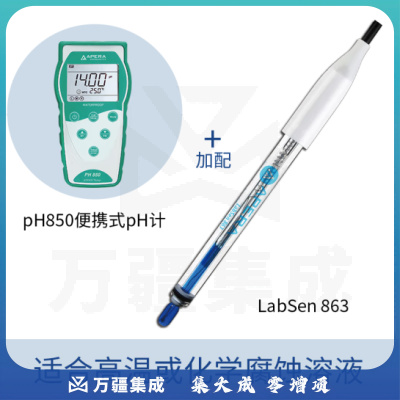 三信沛瑞（SANXIN APERA）PH850便携式pH计测试仪酸度计水质检测仪高精度ph值检测仪测试仪 PH850 LabSen耐高温电极