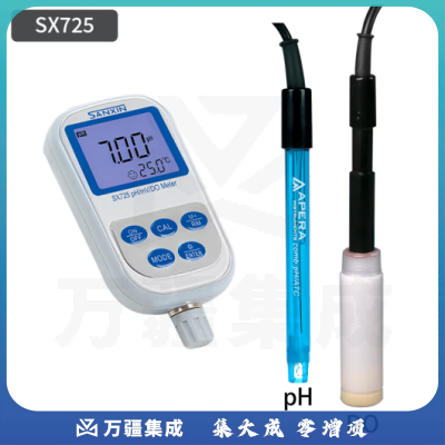 三信沛瑞（SANXIN APERA）便携式pH计双参数水质检测仪Ph计溶解氧仪ec ph测量分析仪 SX725便携式pH/溶解氧仪