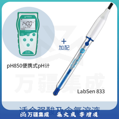 三信沛瑞（SANXIN APERA）PH850便携式pH计测试仪酸度计水质检测仪高精度ph值检测仪测试仪 PH850 LabSen强酸电极