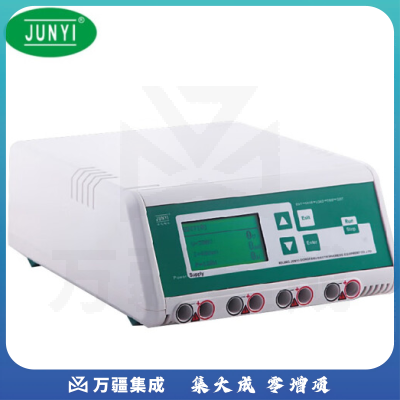 恩谊君意 双稳定时转移电泳仪电源垂直水平蛋白核酸多用电泳 数显款JY300C