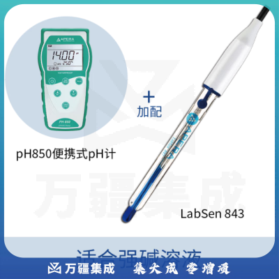 三信沛瑞（SANXIN APERA）PH850便携式pH计测试仪酸度计水质检测仪高精度ph值检测仪测试仪 PH850+LabSen强碱