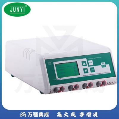 恩谊君意 双稳定时转移电泳仪电源垂直水平蛋白核酸多用电泳 数显款JY600HC
