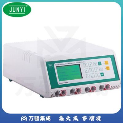 恩谊君意 双稳定时转移电泳仪电源垂直水平蛋白核酸多用电泳 程控款JY200E