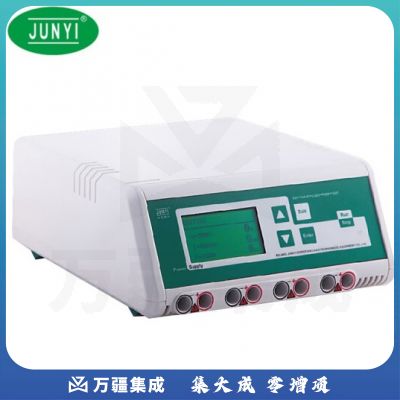 恩谊君意 双稳定时转移电泳仪电源垂直水平蛋白核酸多用电泳 数显款JY300HC