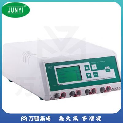 恩谊君意 双稳定时转移电泳仪电源垂直水平蛋白核酸多用电泳 数显款JY300C