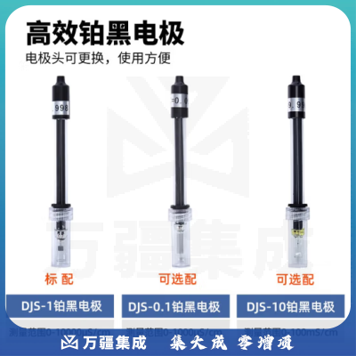 力辰科技（lichen）便携式电导率仪 电导率测试仪 配件 DJS-0.1铂黑电极