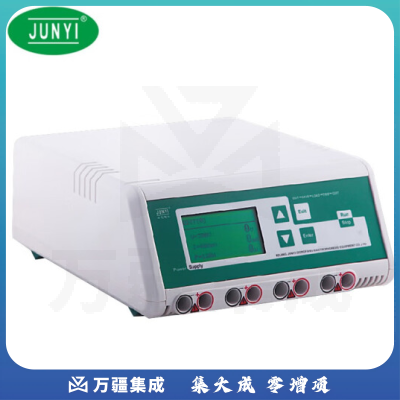 恩谊君意 双稳定时转移电泳仪电源垂直水平蛋白核酸多用电泳 数显款JY300HC