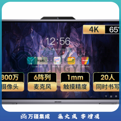 DS-D5B65RD/B 仪器设备电子触摸屏白板 65英寸含挂架含安装 可定制