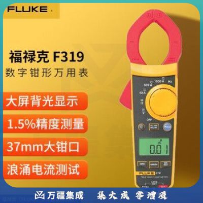 福禄克（FLUKE）F319 钳形万用表 多用表 电流表万能表 钳表仪器仪表