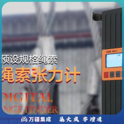 胜利仪器（VICTOR）梯绳索张力仪 电梯绳索张力计 电梯评审钢丝测力测试仪 DGZ-5