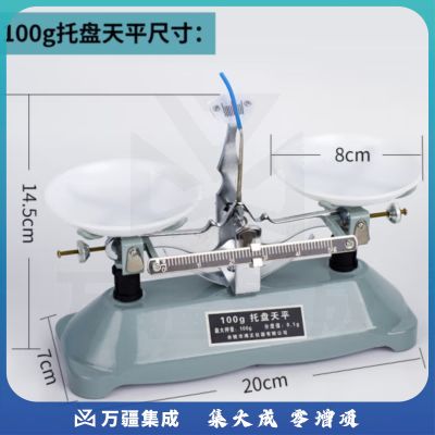 托盘天平称砝码小学生中学初中物理实验器材教学仪器 托盘天平100g