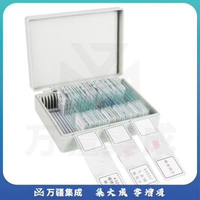 六鑫 生物切片 各类动物植物细胞切片字母“e”显微镜用生物实验器材教学仪器 生物切片套装 生物切片【25片装】