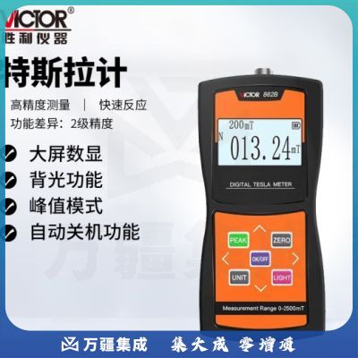 胜利仪器（VICTOR）高斯计数显磁极检测仪高精度特斯拉计测磁仪 VC862B