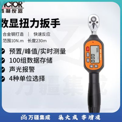 胜利仪器（VICTOR）预置式扭力扳手 高精力矩扳手 可调公斤迷你数显 NGM-10 230mm