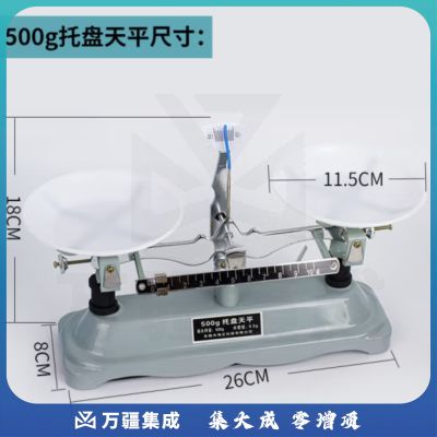 托盘天平称砝码小学生中学初中物理实验器材教学仪器 托盘天平500g