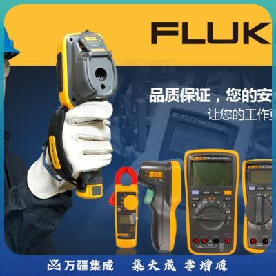 福禄克（FLUKE）F312 交流钳形电流表钳形万用表掌上型数字万用表多用表仪器仪表