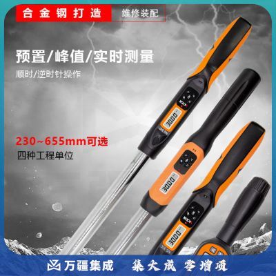 胜利仪器（VICTOR）预置式扭力扳手 高精力矩扳手 可调公斤扳手 迷你数显扭矩扳手 NGM-60（230mm-655mm）