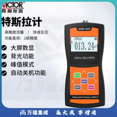 胜利仪器（VICTOR）高斯计数字磁场磁力磁性强度检测仪高精度特斯拉计磁通测磁仪 VC862B