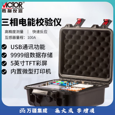 胜利仪器（VICTOR）三相电能表现场校验仪VC6100 100A