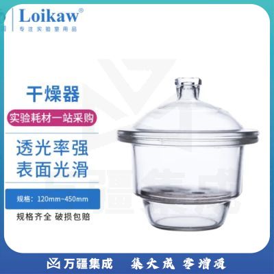 垒固 实验室白色真空玻璃干燥器皿透明附瓷板透明真空干燥皿实验室玻璃仪器 普通300mm