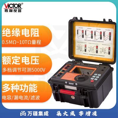胜利仪器（VICTOR）高压绝缘电阻测试仪 漏电流电压电容测试 VC9620