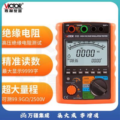 胜利仪器（VICTOR）数字绝缘电阻测试仪 兆欧表 高精度250V至5000V高压 VC3123兆欧表