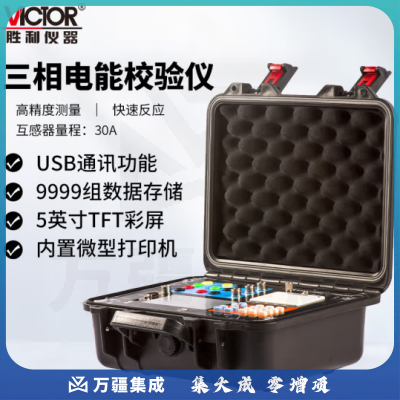 胜利仪器（VICTOR）三相电能表现场校验仪VC6100 30A