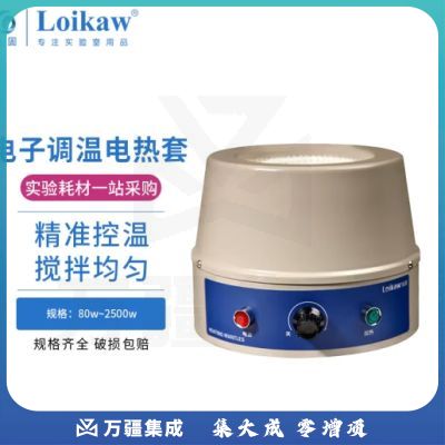 垒固 电热套数显智能恒温加热加热套 调温加热套实验仪器 DRT-1000 (调温型)