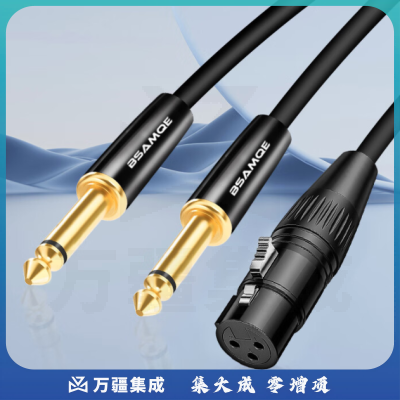 秋叶原 卡农母转双6.5音频线 1.5米