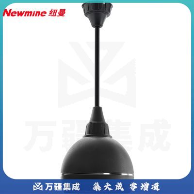 纽曼（Newmine） 吸顶音响 F45 有源无线吸顶吊球音响（一拖四）