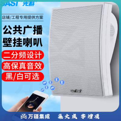 先科A6 定压壁挂音响喇叭 30W白色