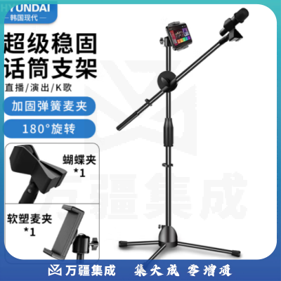 HYUNDAI 现代ZJ03 手机麦克风支架 话筒支架 K歌直播话筒架 三脚落地伸缩支架