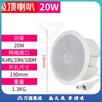 菱声 IP数字网络音柱4G云智能室外户外防水壁挂音箱校园公共广播系统商场寻址有源音响吸顶喇叭POE 20W网络吸顶（标准款）