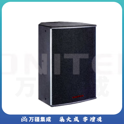 ONITER专业音箱L-12