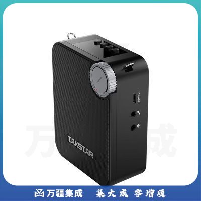 得胜 (TAKSTAR) E500W 无线扩音器 教学培训导游促销会议扩声喊话喇叭大功率小蜜蜂麦克风 (双手持版)