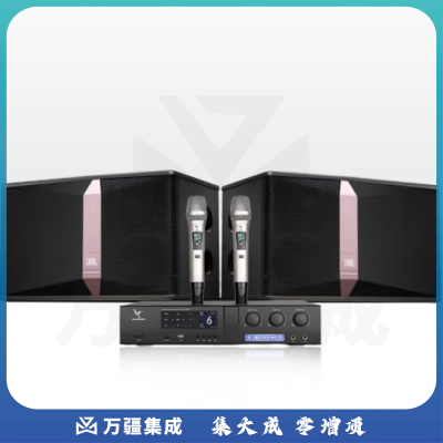JBL KI510 音响套装 带麦克风 大功率音箱 蜂鸟PLS-3三合一功放一体机 10英寸