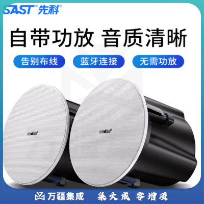 先科G14 无线蓝牙吸顶音响 吊顶天花喇叭套装 钻石蓝牙版副机 需搭配主机使用