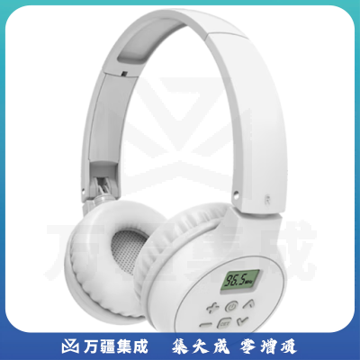 艾本（AIBEN）英语四六级听力耳机大学生四级六级考试调频FM收音机头戴式蓝牙耳机托福雅思专四专八听力考试耳机 C201S充电款白色 标配（耳机）