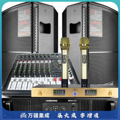 菱声（LINGSHENG） SP-10专业舞台音响套装婚庆活动全频户外演出音箱 10吋200W舞台音箱套装