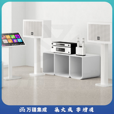 KKH 家庭ktv音响套装一体机影院卡拉ok全套设备家用点唱台客厅音箱 音响+功放+麦克风+点歌机 2TB