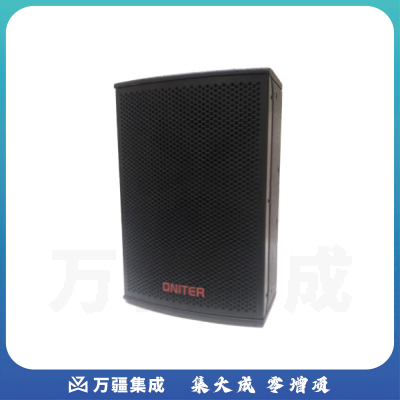 ONITER专业音箱M-12