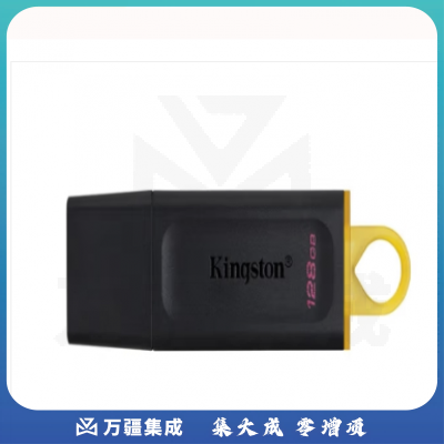 金士顿（Kingston）128GB USB3.2 Gen1 U盘  DTXON/128GB