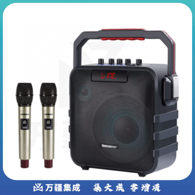 TEMEISHENG特美声SL05-26广场舞音响 便携式户外音响 SL26(5.5吋大功率)双话筒