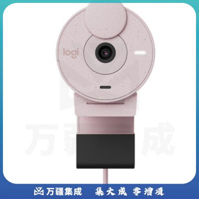 罗技(Logitech)BRIO 300高清网络摄像头 电脑网课会议直播家用台式主动降噪1080P 粉色