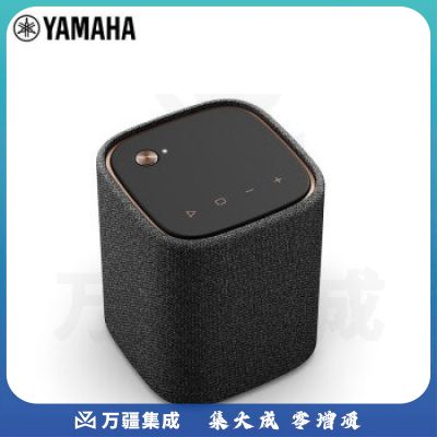 雅马哈（YAMAHA） WS-B1A 便携式蓝牙音箱 长久续航 户外音响 迷你防水防尘随身车载 碳灰色